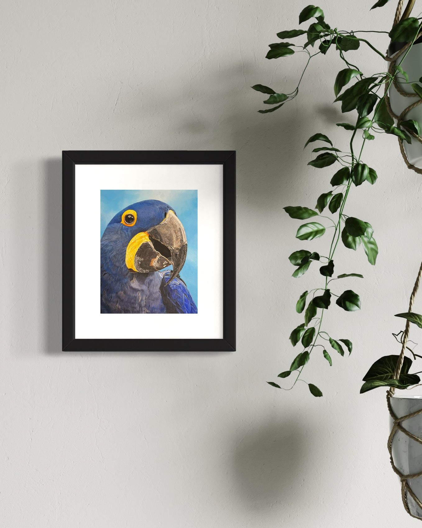 Hyacinth Macaw Print