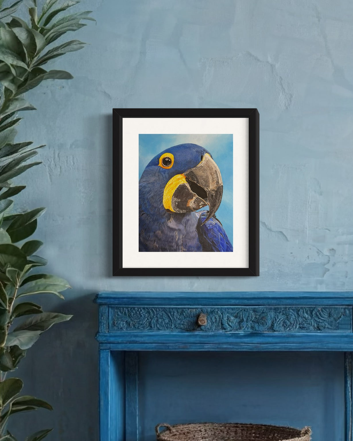 Hyacinth Macaw Print