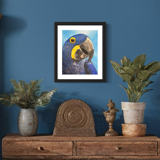 Hyacinth Macaw Print