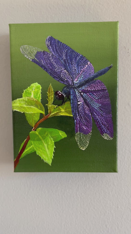 Original dragonfly painting